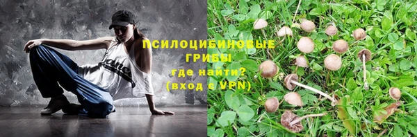 спайс Алексеевка