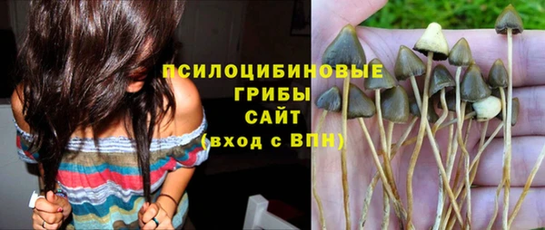 ГАЛЛЮЦИНОГЕННЫЕ ГРИБЫ Алексин