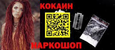 индика Дубна