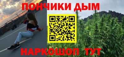 индика Дубна