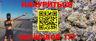 индика Дубна