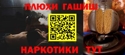индика Дубна