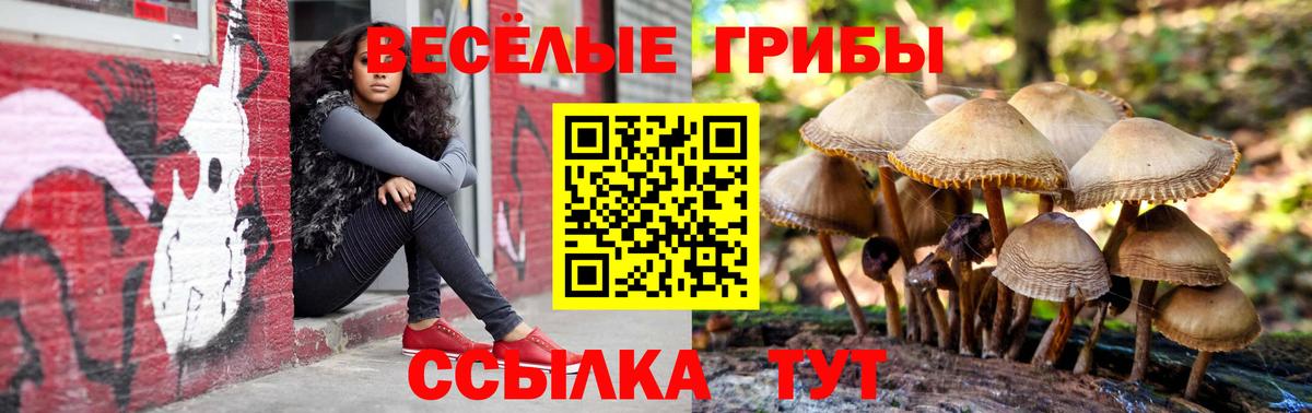 Псилоцибиновые грибы Magic Shrooms Калач-на-Дону