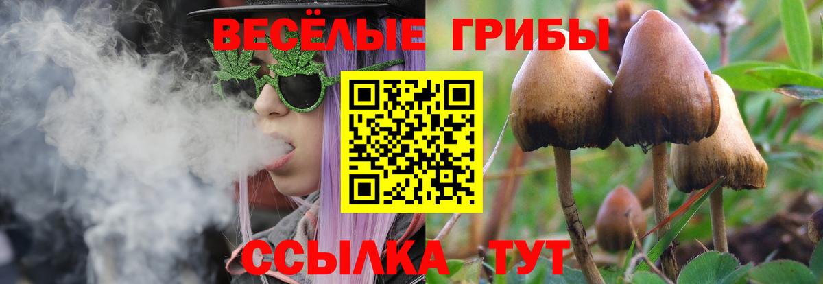 Галлюциногенные грибы прущие грибы  Псилоцибиновые грибы Psilocybe  Вход с VPN  Калач-на-Дону 